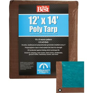 Image of the product