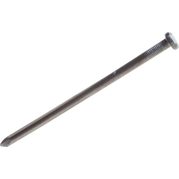 Do it Best 3/8 In. x 8 In. Bright Smooth Landscape Spikes (165 Ct., 50 Lb.)