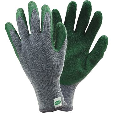 Image of the product