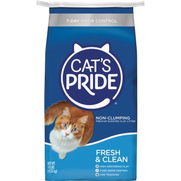 Image of the product