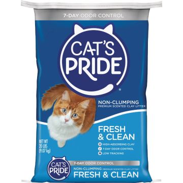 Image of the product