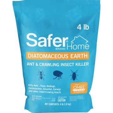 Image of the product