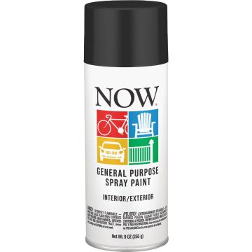 Krylon Now 9 Oz. Flat Black General Purpose Spray Paint