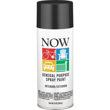 Krylon Now 9 Oz. Gloss Black Spray Paint