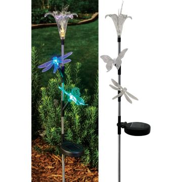 Image of the product
