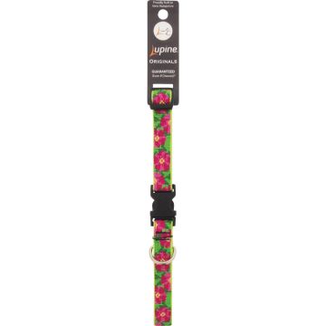 Lupine 3/4 In.  Woven Pattern Petunias  13 In. to 22 In.  Adjustable Collar