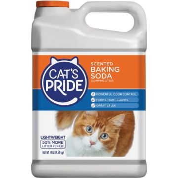 Image of the product