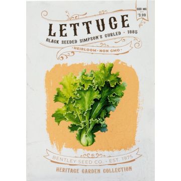 Heirloom Black Seeded Simpson Lettuce Seeds (1885)