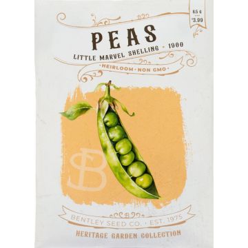 Heirloom Little Marvel Shelling Peas Seeds 1900