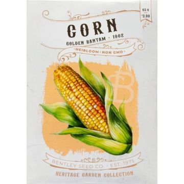 Heirloom Corn-Golden Bantam Seeds (1902)