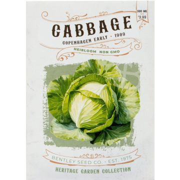 Heirloom Copenhagen Early Cabbage Seeds (1909)