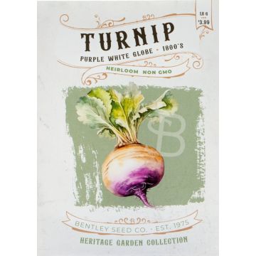 Heirloom Purple Top Turnip Seeds (1881)