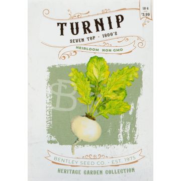 Heirloom Seven Top Turnip Seeds (1880)