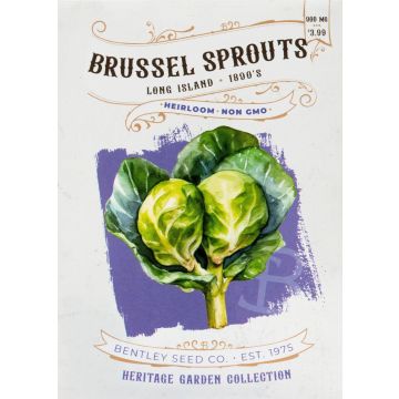 Heirloom Long Island Brussels Sprout Seeds (1890)