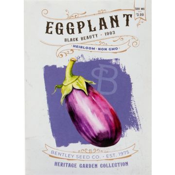 Heirloom Black Beauty Eggplant Seeds (1902)