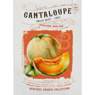 Heirloom Hales Best Cantaloupe Seeds (1823)