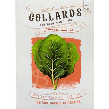 Heirloom Southern Giant Collards Seeds (1871)