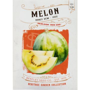 Heirloom Honeydew Melon Seeds (1852)