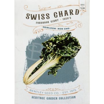 Heirloom Fordhook Giant Swiss Chard Seeds (1920)