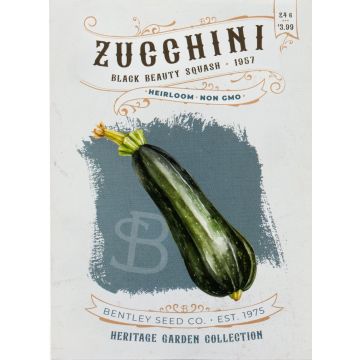 Heirloom Zucchini-Black Beauty Squash Seeds (1957)
