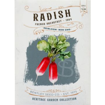 Heirloom French Breakfast Radish Seeds (1884)