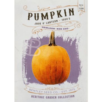 Pumpkin-Jack O' Lantern Seeds 1900's