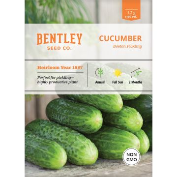 Heirloom Boston Pickling Cucumber Seeds (1887)