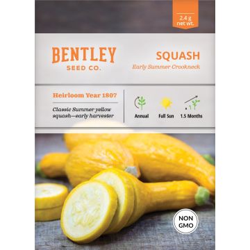 Heirloom Yellow Crookneck Squash Seeds (1807)