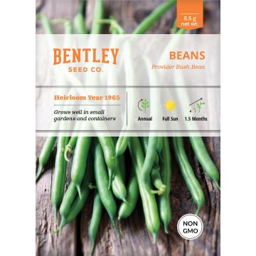 Heirloom Provider Bush Beans Seeds (1965)