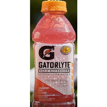 Gatorlyte Strbry Kiwi 20 Oz