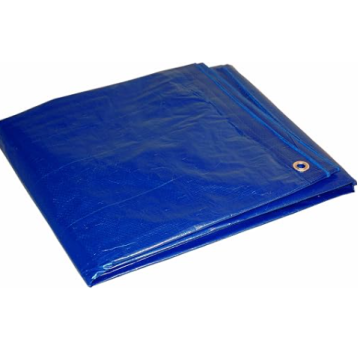 Foremost Tarp 8x10 Blue Econ