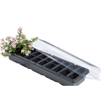 Windowsill Greenhouse