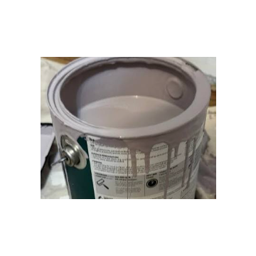Mis-mixed / Mistint Paint 5gal