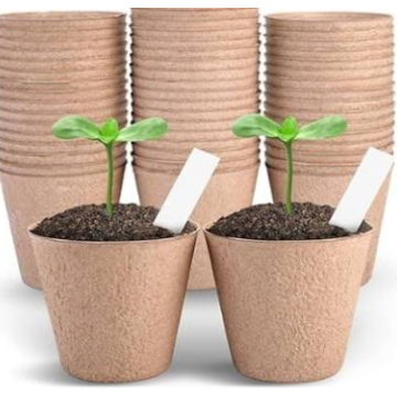 26pk 2-1/4" Pot