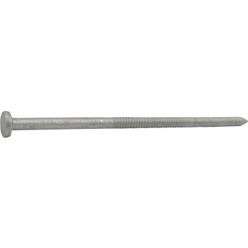 6" Pole Barn Stiffstock Nail