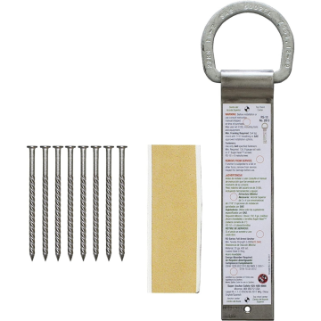 Super Anchor Safety 2813AR RS-10 Single D-Ring Roof Anchor Stainless Strap