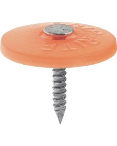 Grip-Rite 1-1/4 In. 12 ga Electrogalvanized Cap Nails (2500 Ct., 9 Lb.)