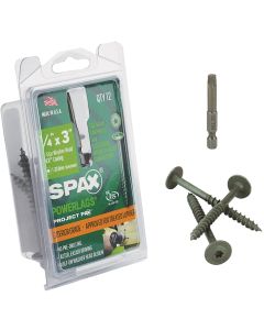 Spax PowerLags 1/4 In. x 3 In. Washer Head Exterior Structure Screw (12 Ct.)