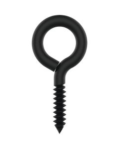 National Hardware 3/16 In. X 3 In. Storm Shine Lag Screw Eye (2-Count)