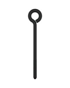 National Hardware 5/16 In. x 6 In. Storm Shine Lag Screw Eye