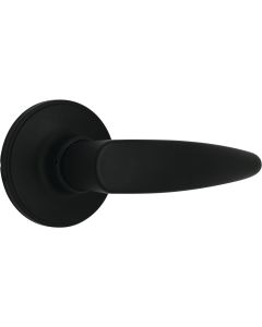 Steel Pro Matte Black Straight Passage Lever