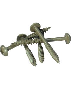 Kreg 2-1/2" #14crs Ph Screw 30ct