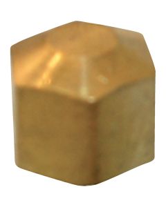 Lasco 5/16 In. Brass Compression Cap