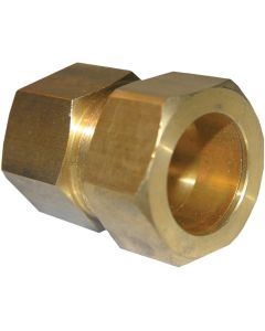 Lasco 7/8 In. C x 3/4 In. FPT Brass Compression Adapter