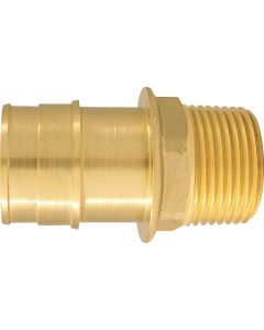 Apollo Retail 1 In. x 3/4 In. Brass Insert Fitting MIP Adapter Type A