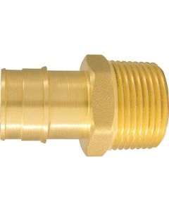 Apollo Retail 1 In. x 1 In. Brass Insert Fitting MIP Adapter Type A