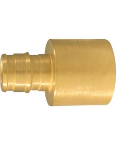 Apollo Retail 1/2 In. x 3/4 In. Brass Insert Fitting FSWT Adapter Type A