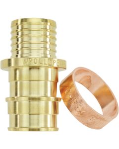 Apollo Retail 3/4 In. Barb x 3/4 In. Polybutylene Brass PEX Coupling, Type A