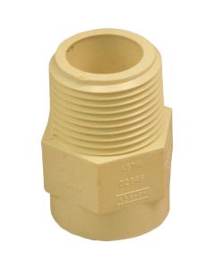 Charlotte Pipe 3/4 In. Male Thread to CPVC Adapter (10-Pack)