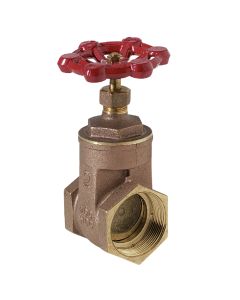 ProLine 2 In. FIPS x 2 In. FIPS Brass Cast Iron Gate Valve